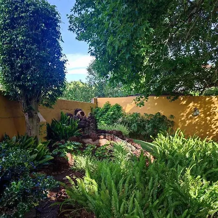 Casa vacanze La Chimenea Tacoronte