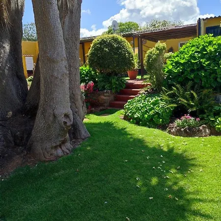 La Chimenea * Tacoronte