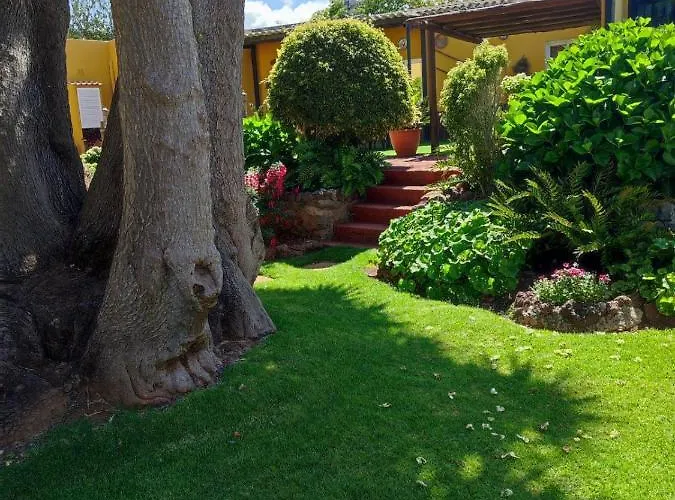 La Chimenea * Такоронте