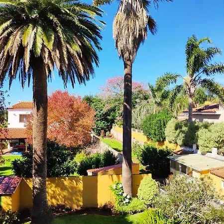 La Chimenea Tacoronte