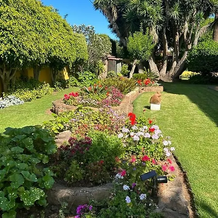 Prázdninový dům La Chimenea *