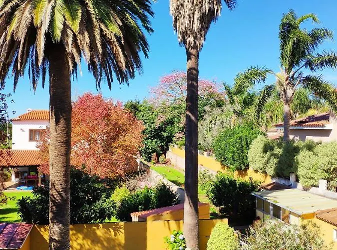 La Chimenea טקורונטה