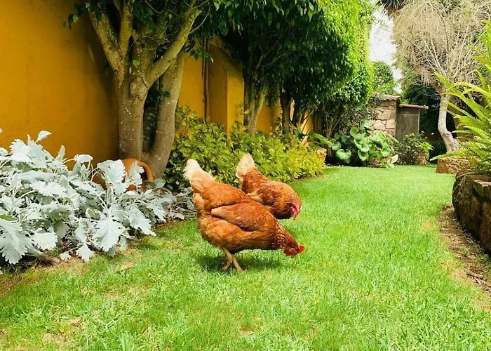 בית נופש La Chimenea טקורונטה