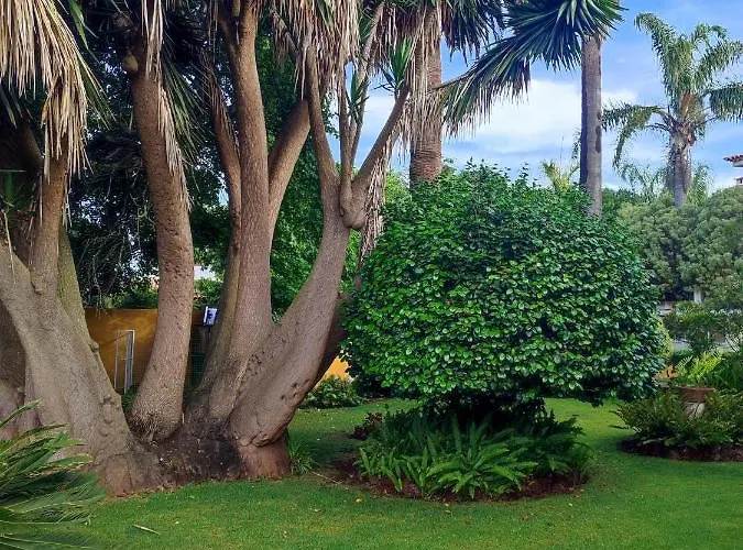 Holiday home La Chimenea Tacoronte