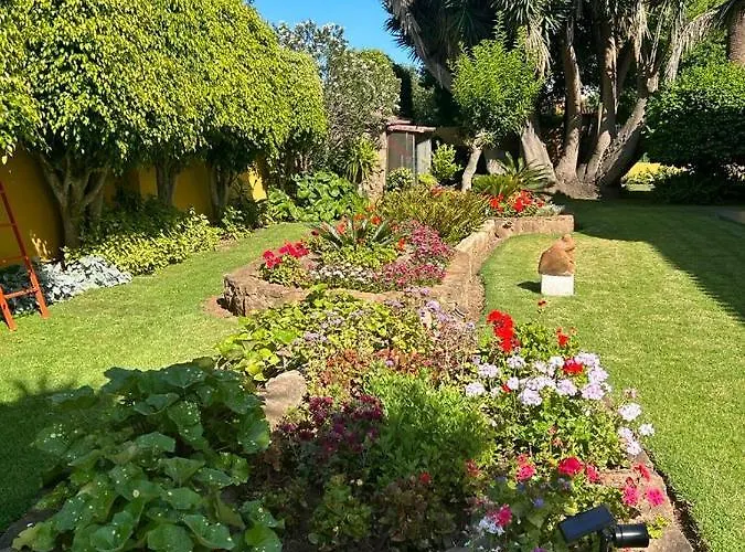 La Chimenea Tacoronte