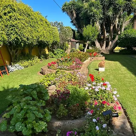 La Chimenea Tacoronte