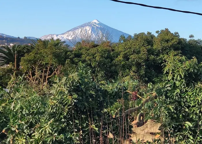 Semesterbostad La Chimenea