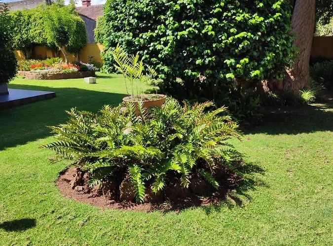 La Chimenea Semesterbostad